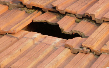 roof repair Brinsop, Herefordshire