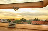 rated Brinsop roof window companies